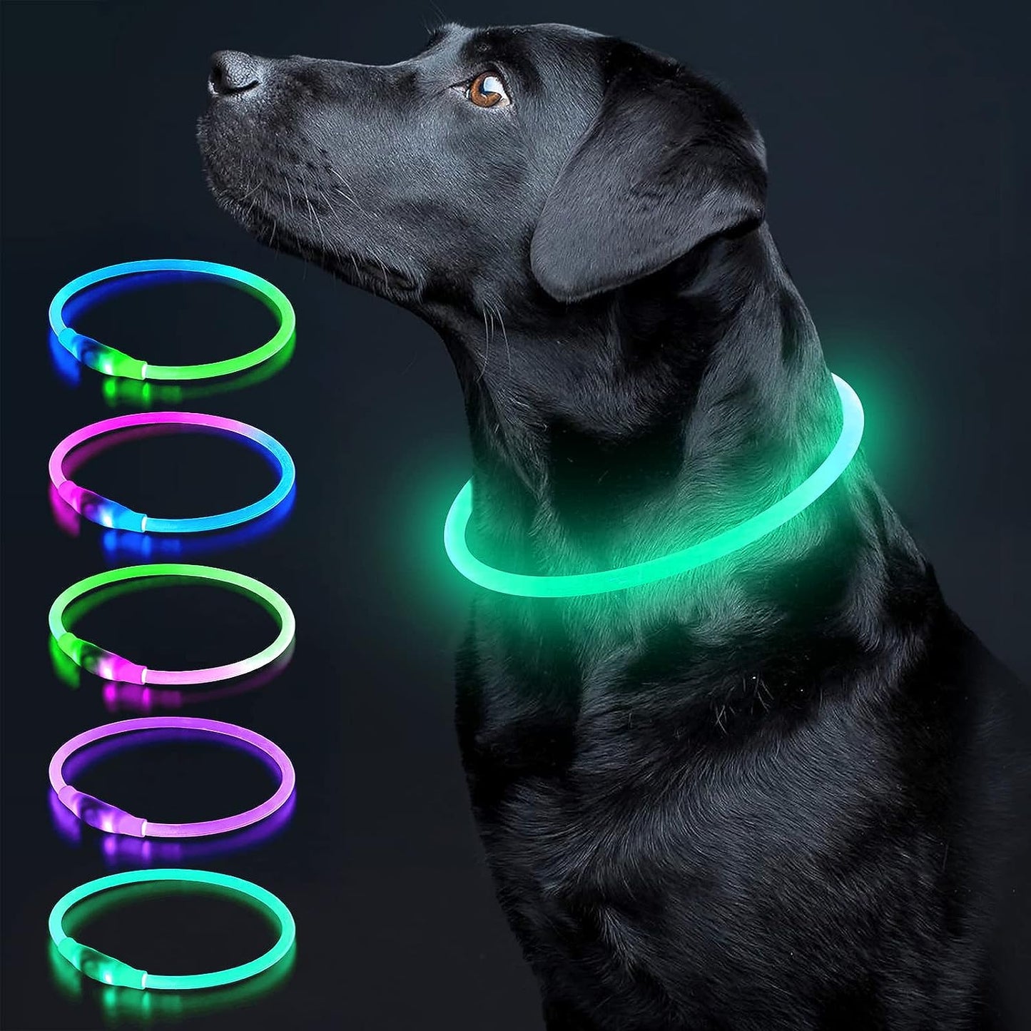 LED Dog Collar Light up Dog Collars 1 Count USB Rechargeable TPU Glow Safety Basic Dog Collars for Large Medium Small Dogs