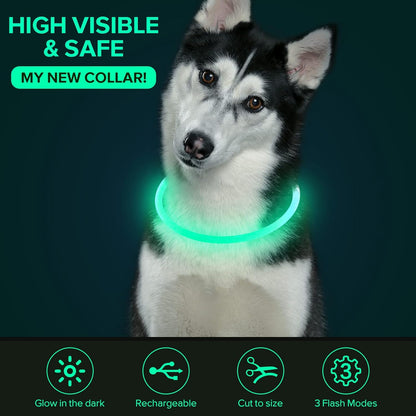 LED Dog Collar Light up Dog Collars 1 Count USB Rechargeable TPU Glow Safety Basic Dog Collars for Large Medium Small Dogs