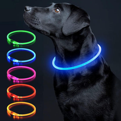 LED Dog Collar Light up Dog Collars 1 Count USB Rechargeable TPU Glow Safety Basic Dog Collars for Large Medium Small Dogs