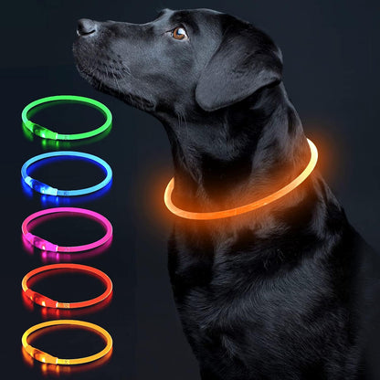 LED Dog Collar Light up Dog Collars 1 Count USB Rechargeable TPU Glow Safety Basic Dog Collars for Large Medium Small Dogs