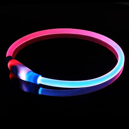 LED Dog Collar Light up Dog Collars 1 Count USB Rechargeable TPU Glow Safety Basic Dog Collars for Large Medium Small Dogs