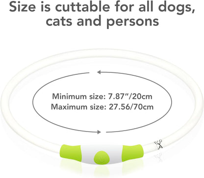 LED Dog Collar Light up Dog Collars 1 Count USB Rechargeable TPU Glow Safety Basic Dog Collars for Large Medium Small Dogs