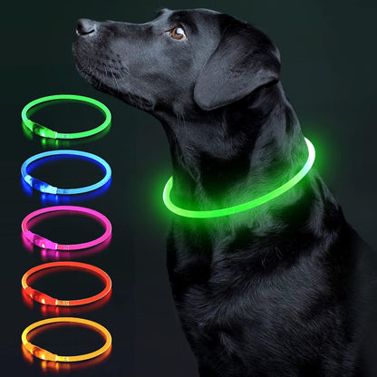 LED Dog Collar Light up Dog Collars 1 Count USB Rechargeable TPU Glow Safety Basic Dog Collars for Large Medium Small Dogs