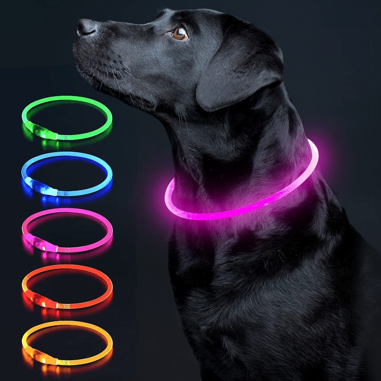 LED Dog Collar Light up Dog Collars 1 Count USB Rechargeable TPU Glow Safety Basic Dog Collars for Large Medium Small Dogs
