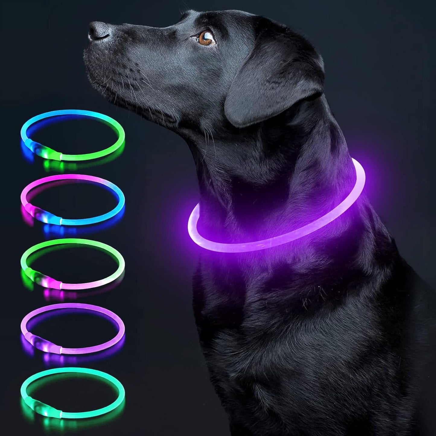 LED Dog Collar Light up Dog Collars 1 Count USB Rechargeable TPU Glow Safety Basic Dog Collars for Large Medium Small Dogs