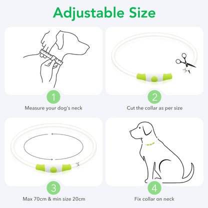 LED Dog Collar Light up Dog Collars 1 Count USB Rechargeable TPU Glow Safety Basic Dog Collars for Large Medium Small Dogs