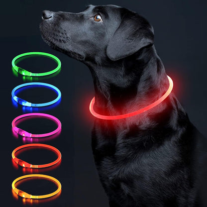 LED Dog Collar Light up Dog Collars 1 Count USB Rechargeable TPU Glow Safety Basic Dog Collars for Large Medium Small Dogs